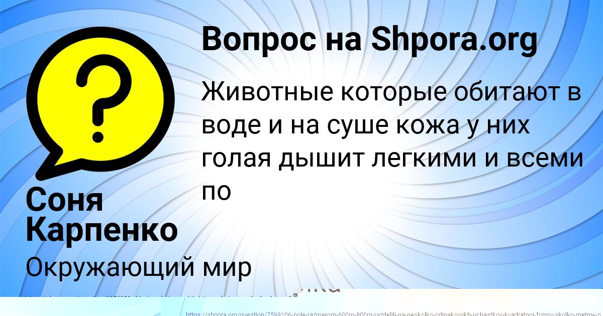 Картинка с текстом вопроса от пользователя KUZMA ISACHENKO