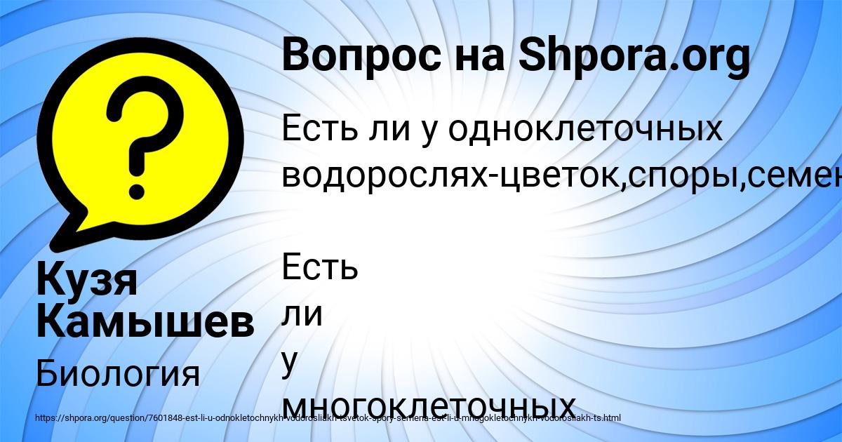 Картинка с текстом вопроса от пользователя Кузя Камышев