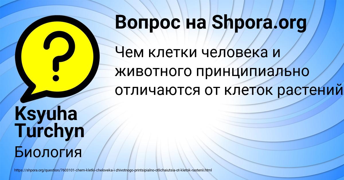 Картинка с текстом вопроса от пользователя Ksyuha Turchyn