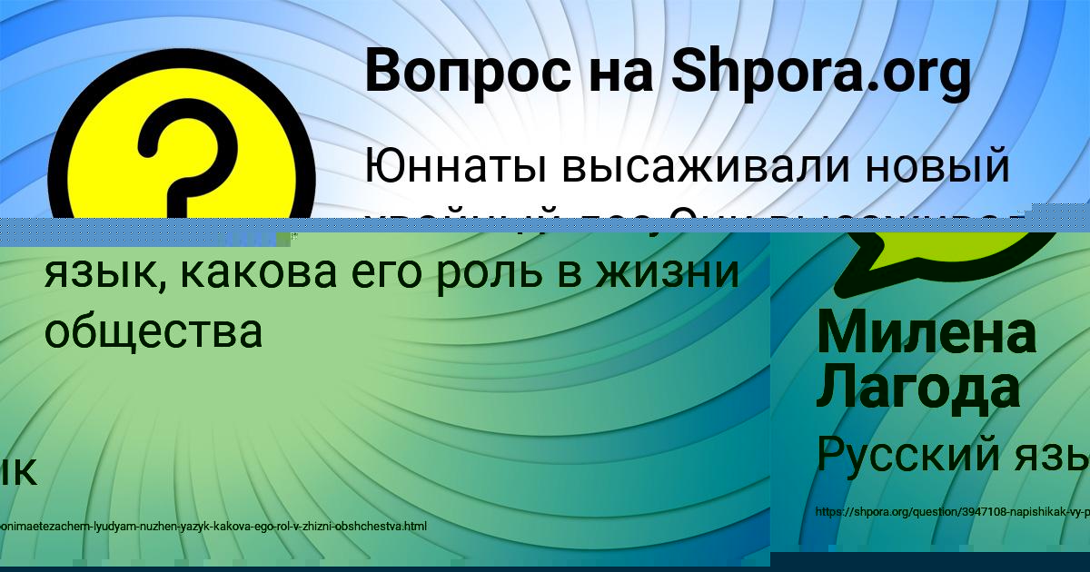 Картинка с текстом вопроса от пользователя Мадина Чумаченко