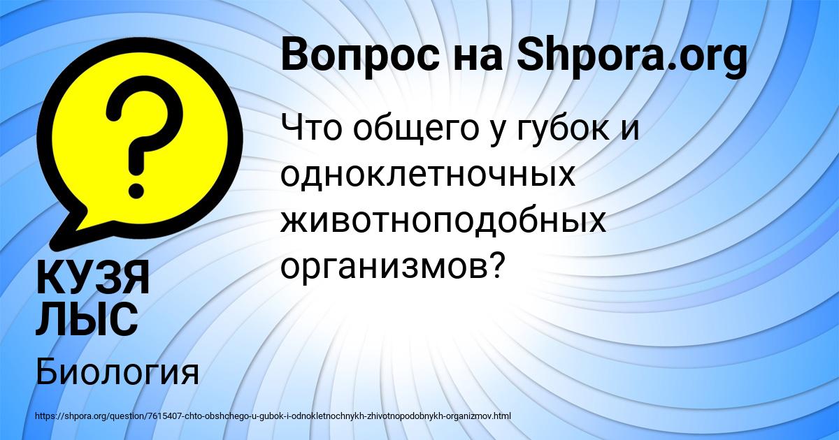 Картинка с текстом вопроса от пользователя КУЗЯ ЛЫС