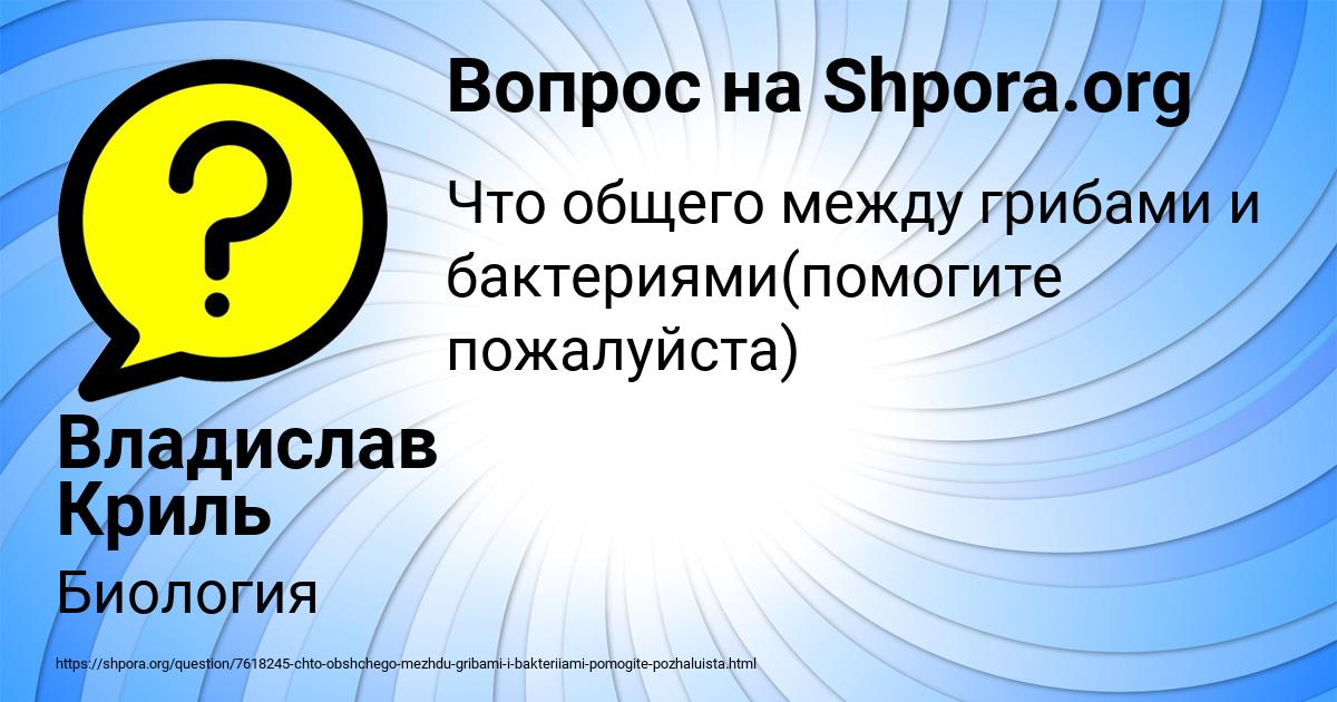 Картинка с текстом вопроса от пользователя Владислав Криль