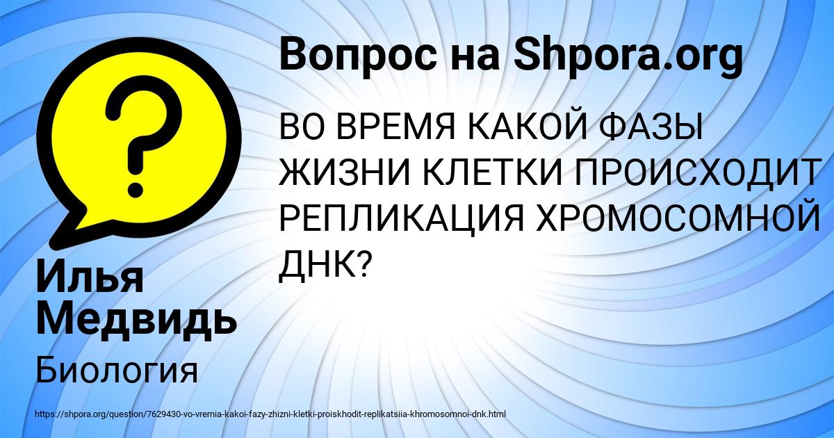 Картинка с текстом вопроса от пользователя Илья Медвидь
