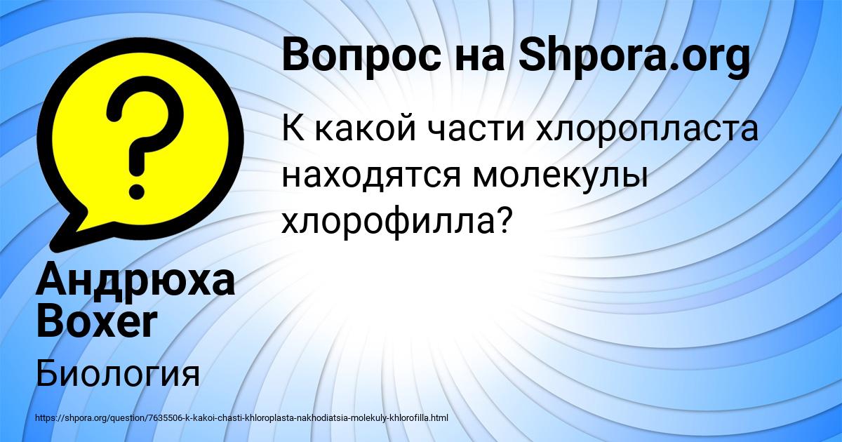 Картинка с текстом вопроса от пользователя Андрюха Boxer