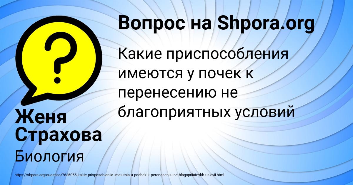 Картинка с текстом вопроса от пользователя Женя Страхова