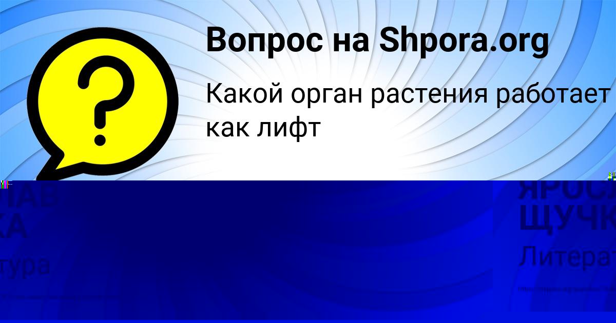 Картинка с текстом вопроса от пользователя ЯРОСЛАВ ЩУЧКА