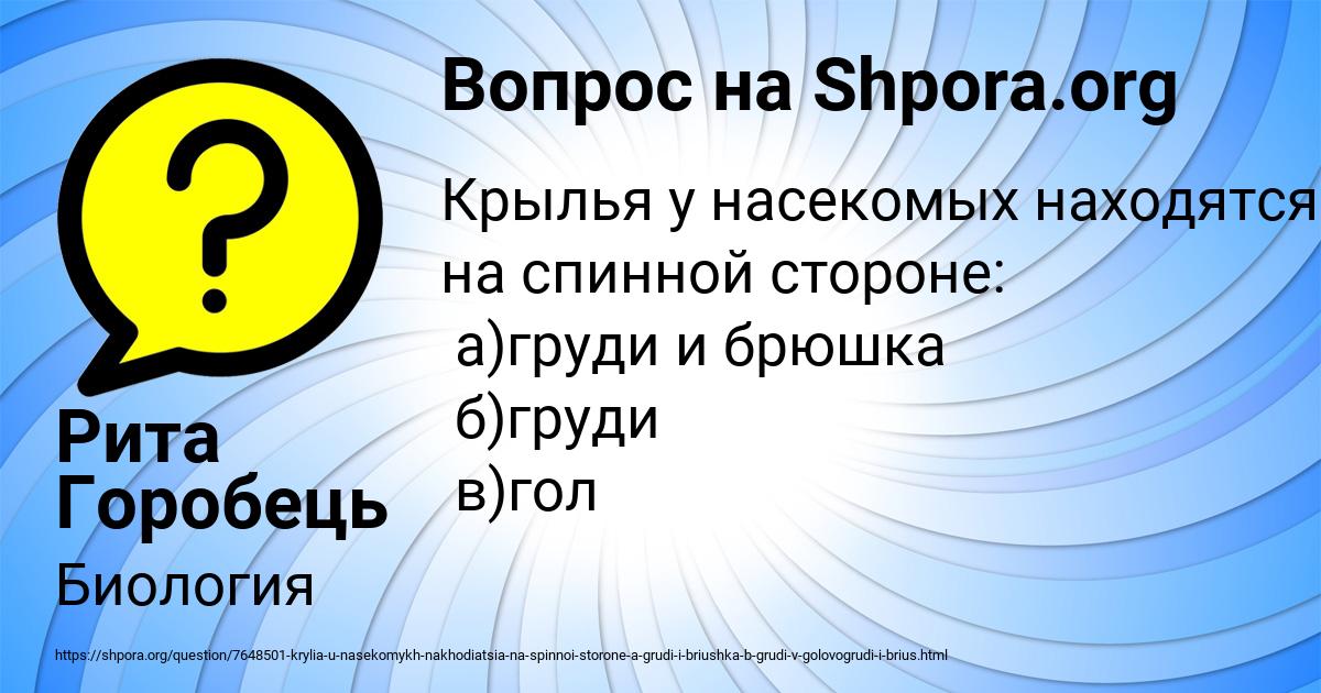 Картинка с текстом вопроса от пользователя Рита Горобець