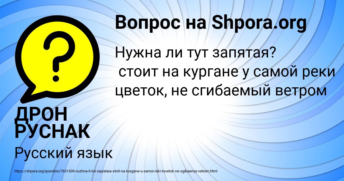 Картинка с текстом вопроса от пользователя ДРОН РУСНАК