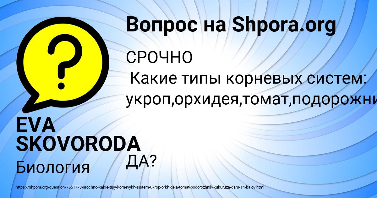 Картинка с текстом вопроса от пользователя EVA SKOVORODA