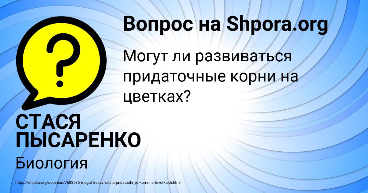 Картинка с текстом вопроса от пользователя СТАСЯ ПЫСАРЕНКО