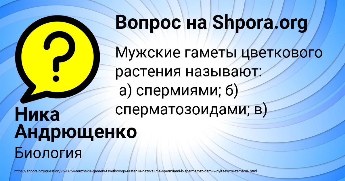 Картинка с текстом вопроса от пользователя Ника Андрющенко