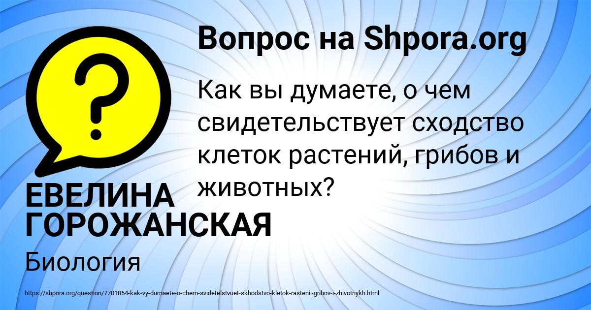 Картинка с текстом вопроса от пользователя ЕВЕЛИНА ГОРОЖАНСКАЯ