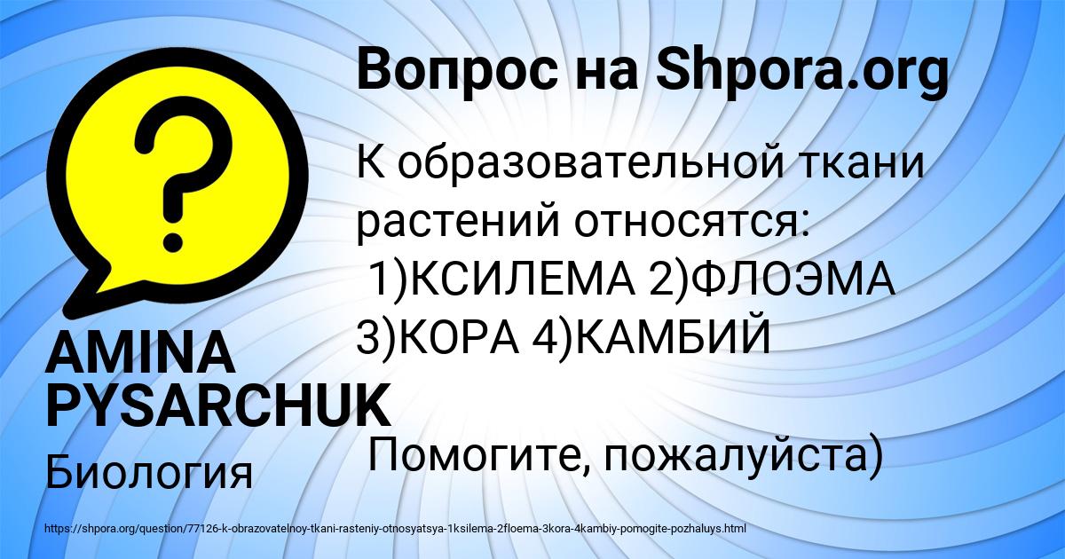 Картинка с текстом вопроса от пользователя AMINA PYSARCHUK