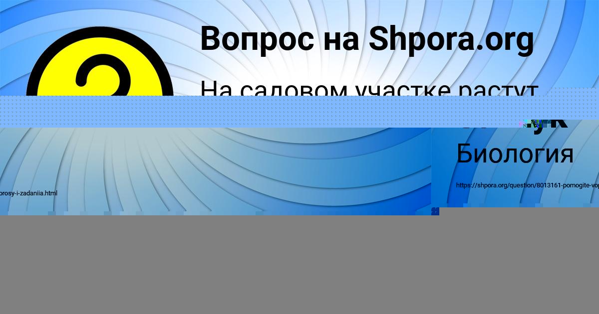 Картинка с текстом вопроса от пользователя Дамир Севостьянов