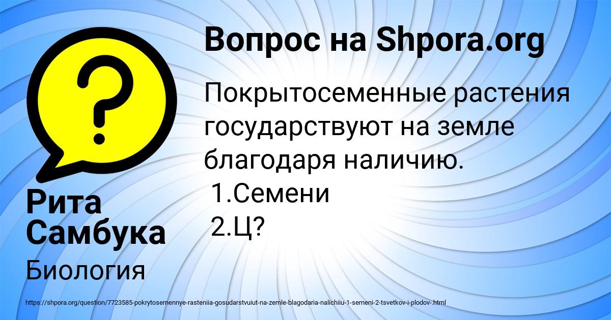 Картинка с текстом вопроса от пользователя Рита Самбука