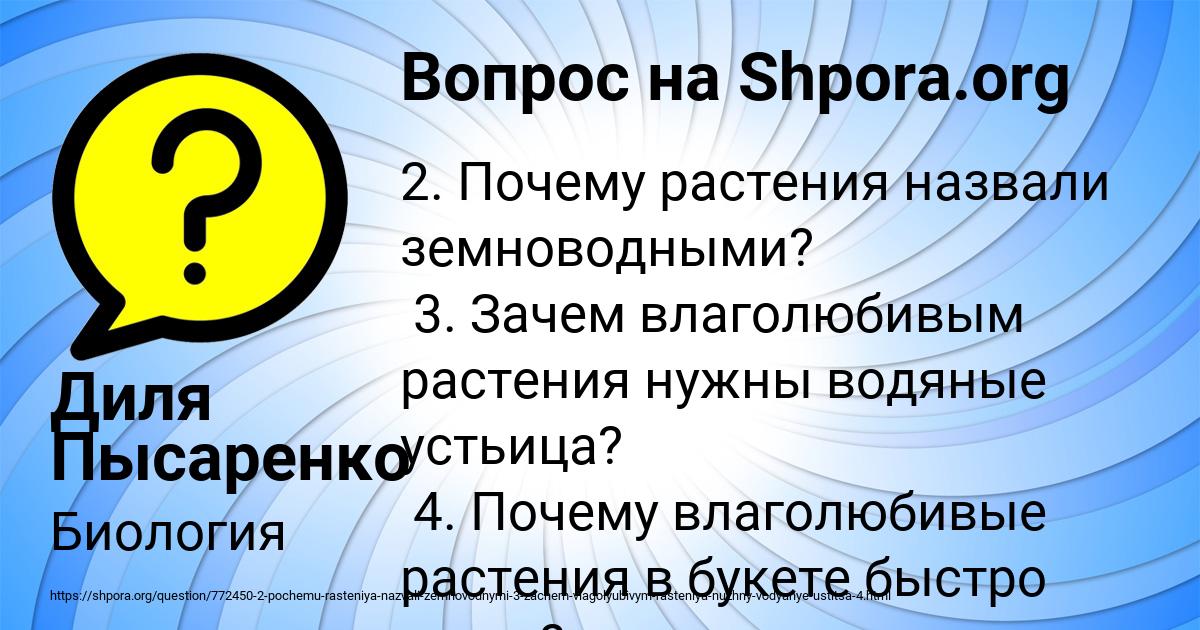 Картинка с текстом вопроса от пользователя Диля Пысаренко