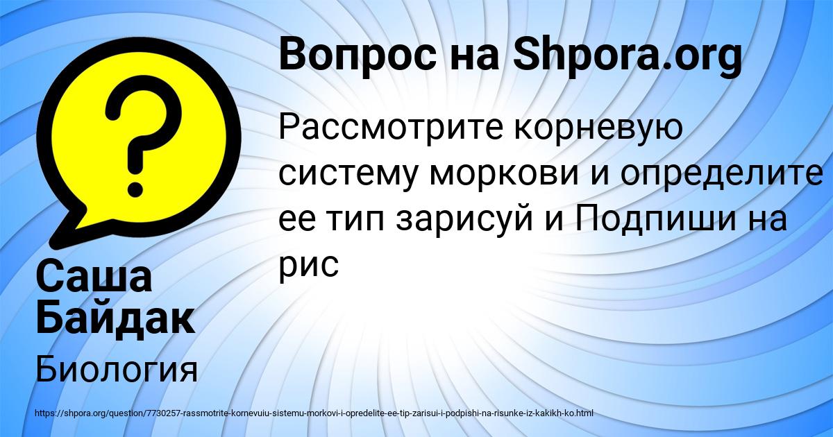 Картинка с текстом вопроса от пользователя Саша Байдак