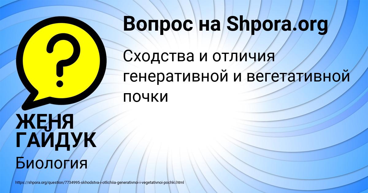 Картинка с текстом вопроса от пользователя ЖЕНЯ ГАЙДУК