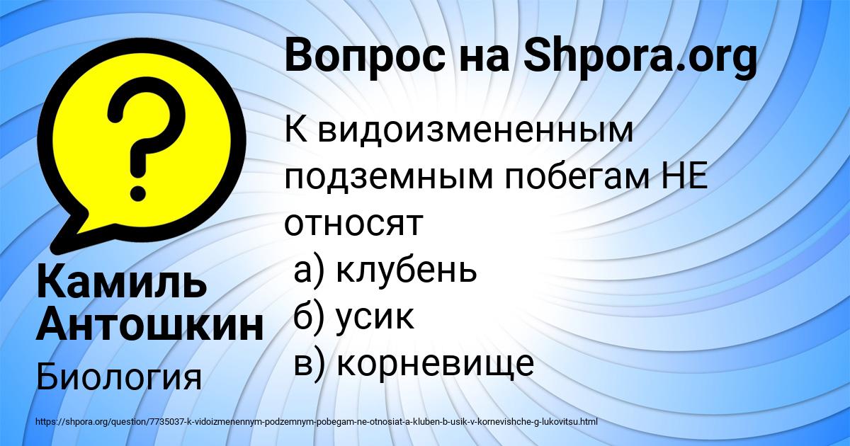 Картинка с текстом вопроса от пользователя Камиль Антошкин