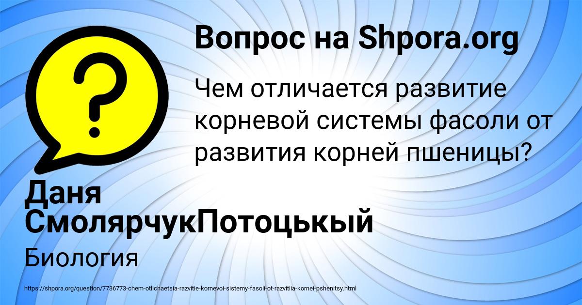 Картинка с текстом вопроса от пользователя Даня СмолярчукПотоцькый