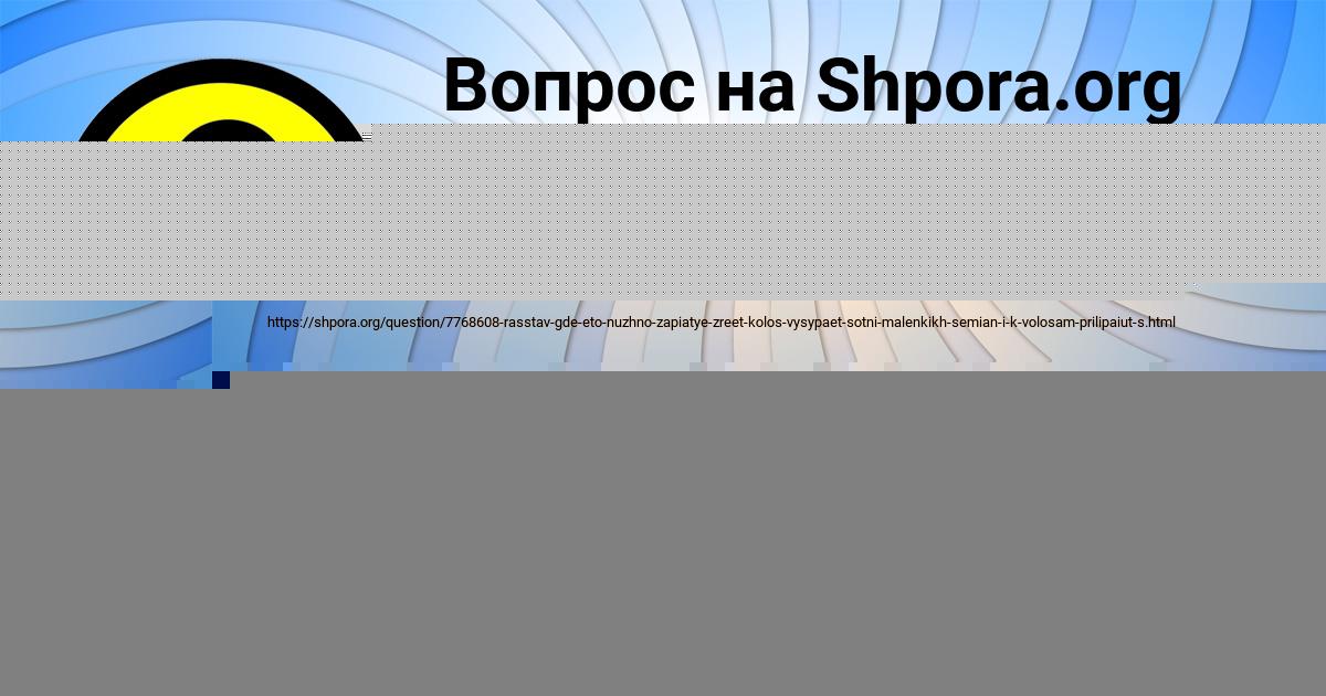 Картинка с текстом вопроса от пользователя Поля Шевченко