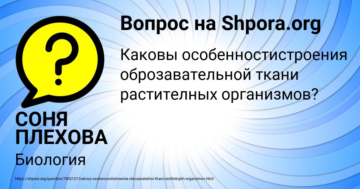 Картинка с текстом вопроса от пользователя СОНЯ ПЛЕХОВА