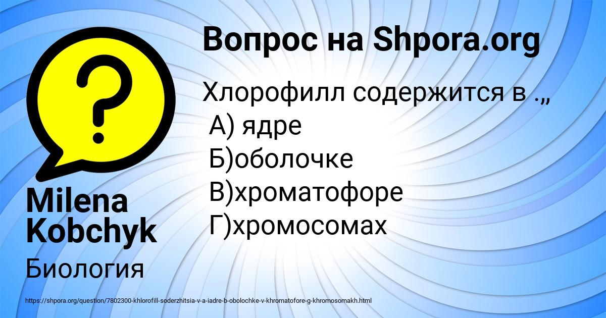 Картинка с текстом вопроса от пользователя Milena Kobchyk