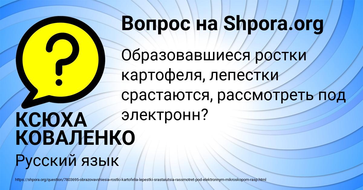 Картинка с текстом вопроса от пользователя КСЮХА КОВАЛЕНКО