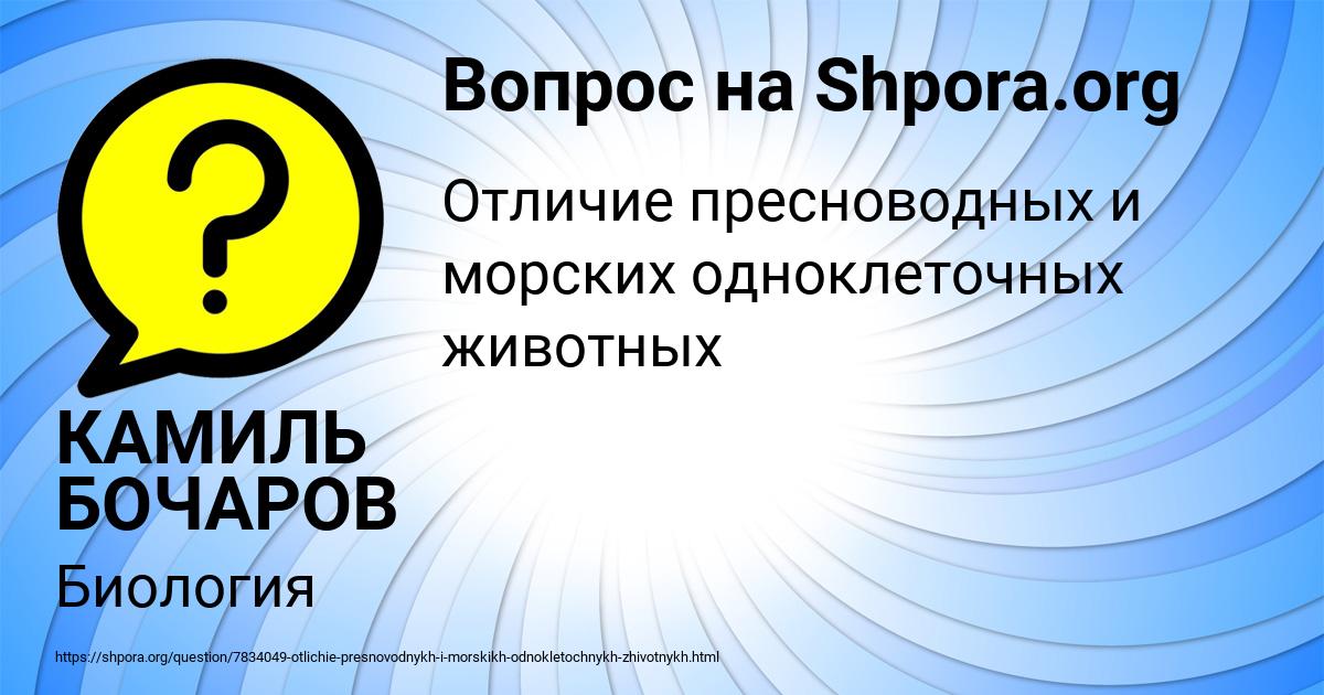 Картинка с текстом вопроса от пользователя КАМИЛЬ БОЧАРОВ