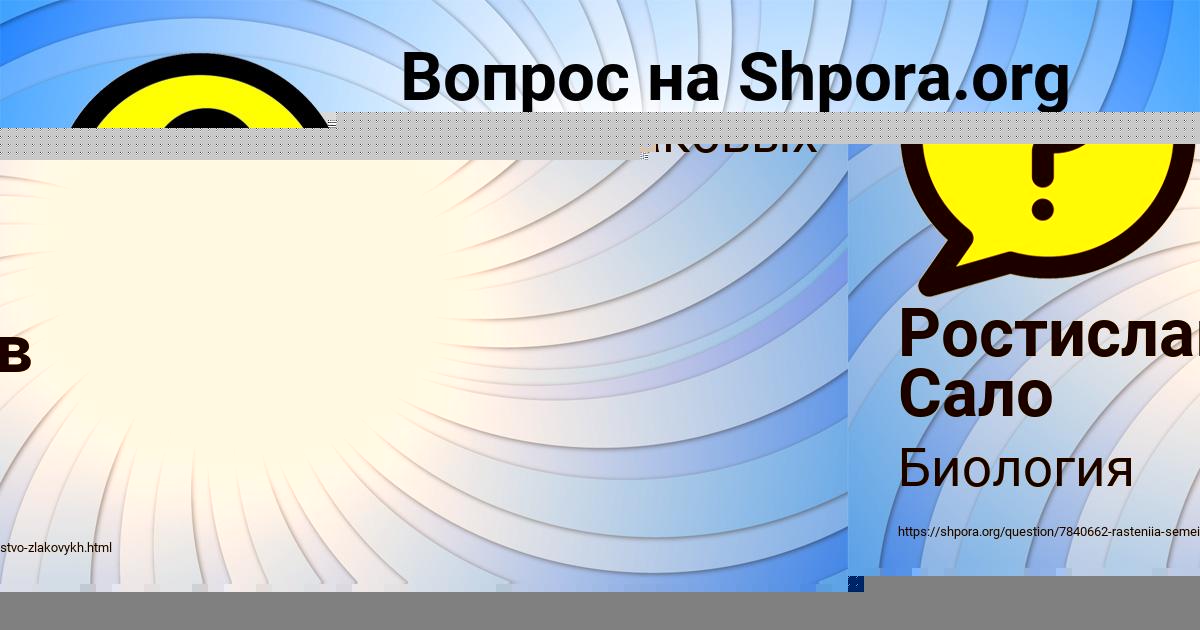 Картинка с текстом вопроса от пользователя Ростислав Сало