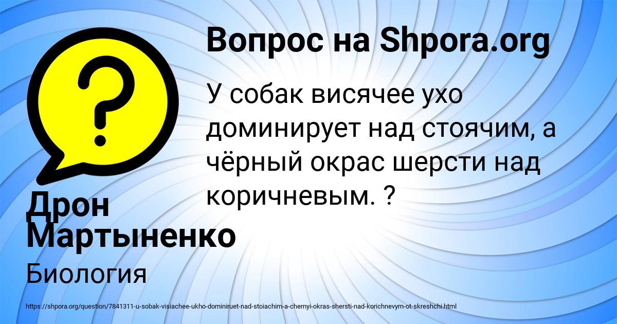 Картинка с текстом вопроса от пользователя Дрон Мартыненко