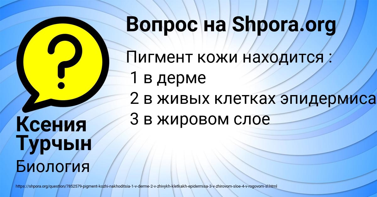 Картинка с текстом вопроса от пользователя Ксения Турчын