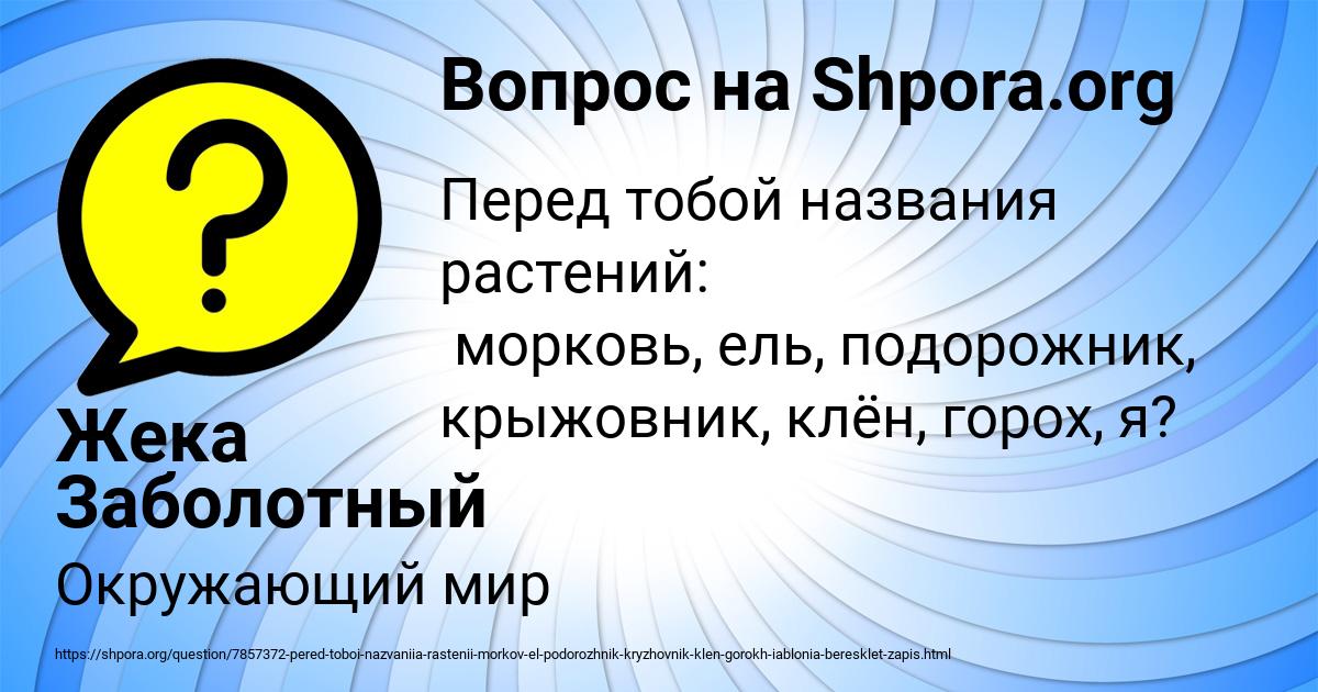 Картинка с текстом вопроса от пользователя Жека Заболотный