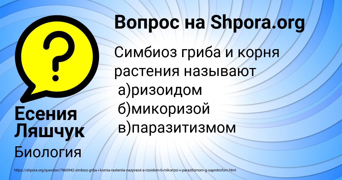 Картинка с текстом вопроса от пользователя Есения Ляшчук