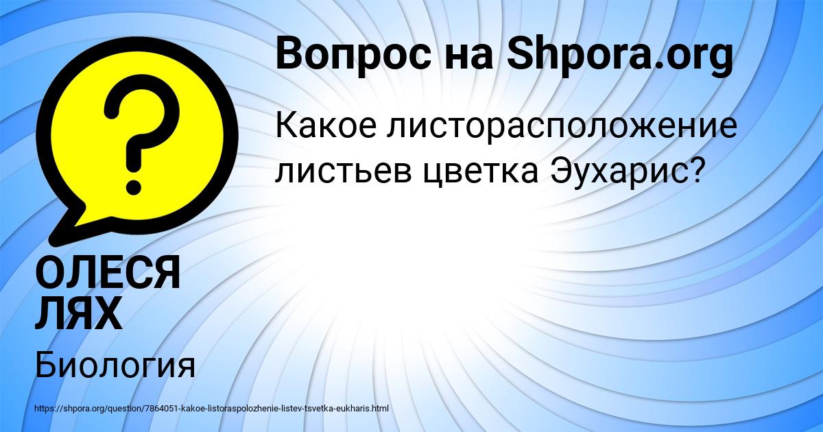 Картинка с текстом вопроса от пользователя ОЛЕСЯ ЛЯХ