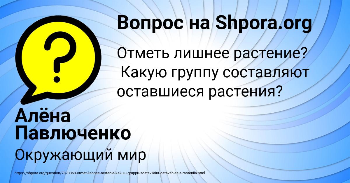 Картинка с текстом вопроса от пользователя Алёна Павлюченко