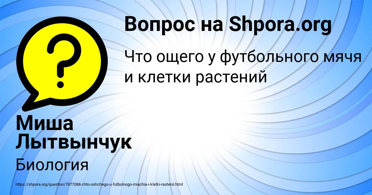 Картинка с текстом вопроса от пользователя Миша Лытвынчук