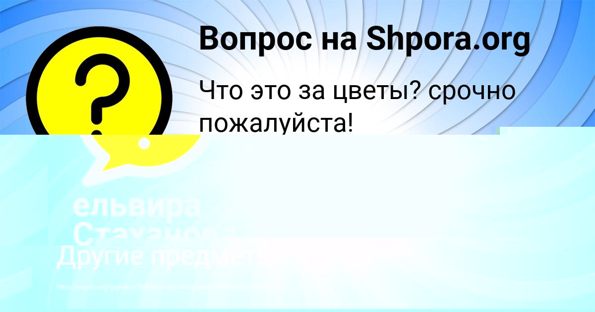 Картинка с текстом вопроса от пользователя Амелия Бараболя