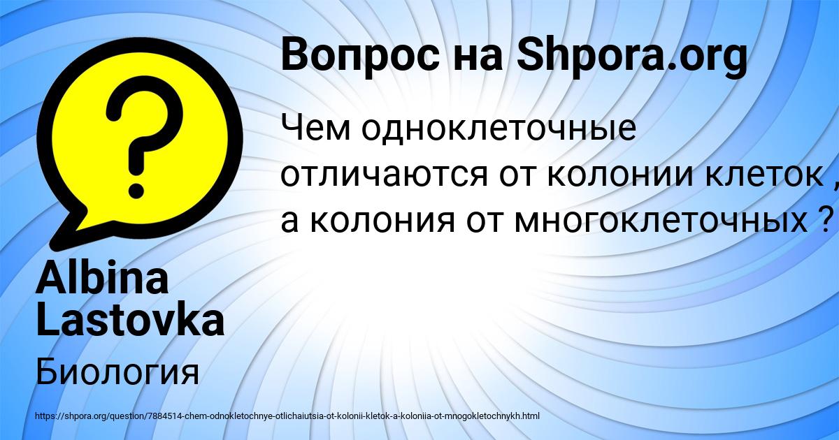 Картинка с текстом вопроса от пользователя Albina Lastovka