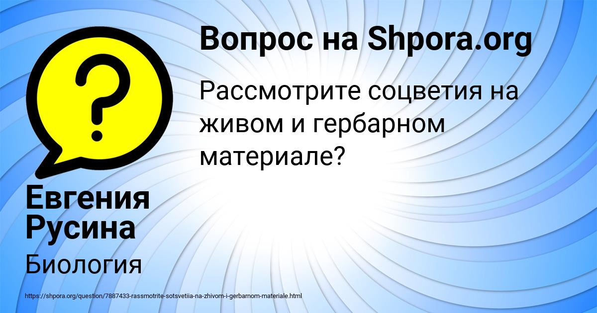 Картинка с текстом вопроса от пользователя Евгения Русина