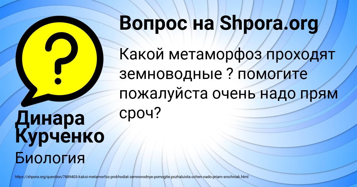 Картинка с текстом вопроса от пользователя Динара Курченко