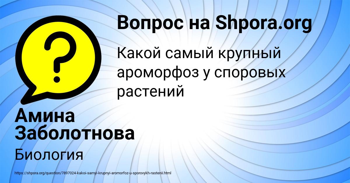 Картинка с текстом вопроса от пользователя Амина Заболотнова