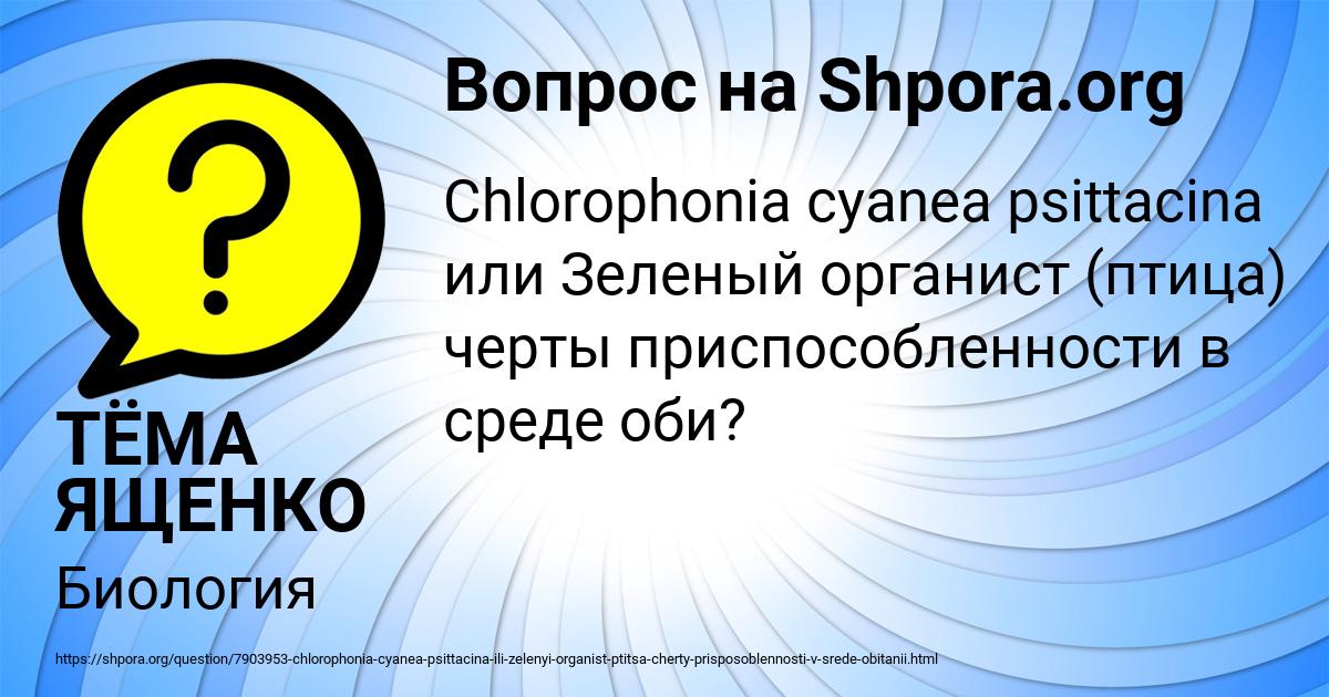 Картинка с текстом вопроса от пользователя ТЁМА ЯЩЕНКО