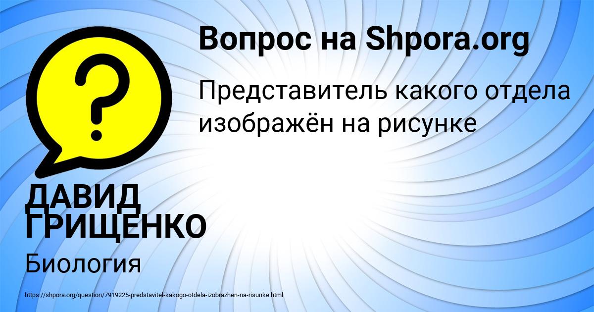 Картинка с текстом вопроса от пользователя ДАВИД ГРИЩЕНКО