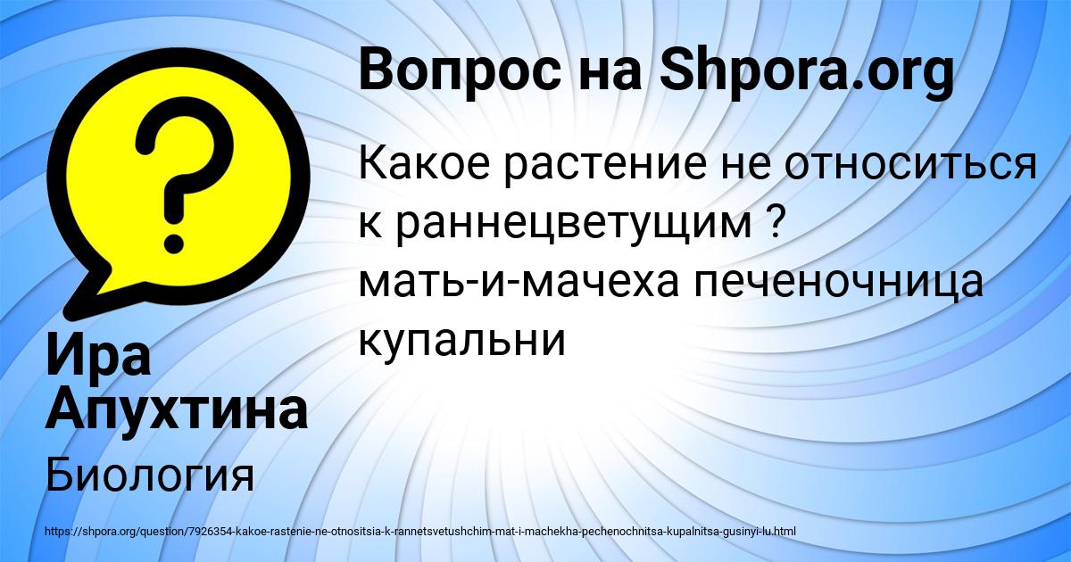 Картинка с текстом вопроса от пользователя Ира Апухтина