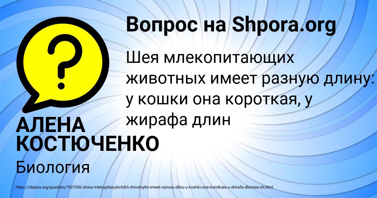 Картинка с текстом вопроса от пользователя АЛЕНА КОСТЮЧЕНКО