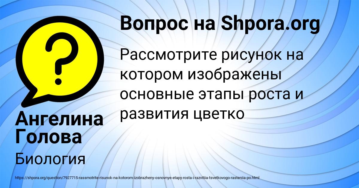 Картинка с текстом вопроса от пользователя Ангелина Голова