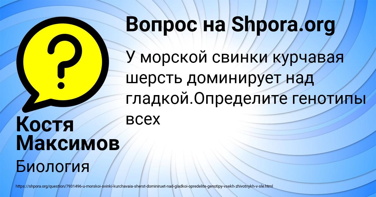 Картинка с текстом вопроса от пользователя Костя Максимов