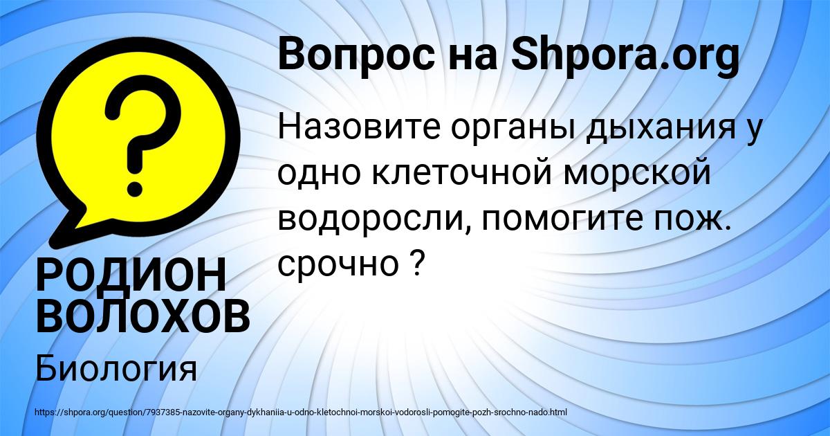 Картинка с текстом вопроса от пользователя РОДИОН ВОЛОХОВ