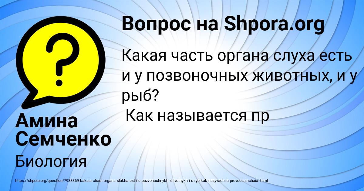 Картинка с текстом вопроса от пользователя Амина Семченко